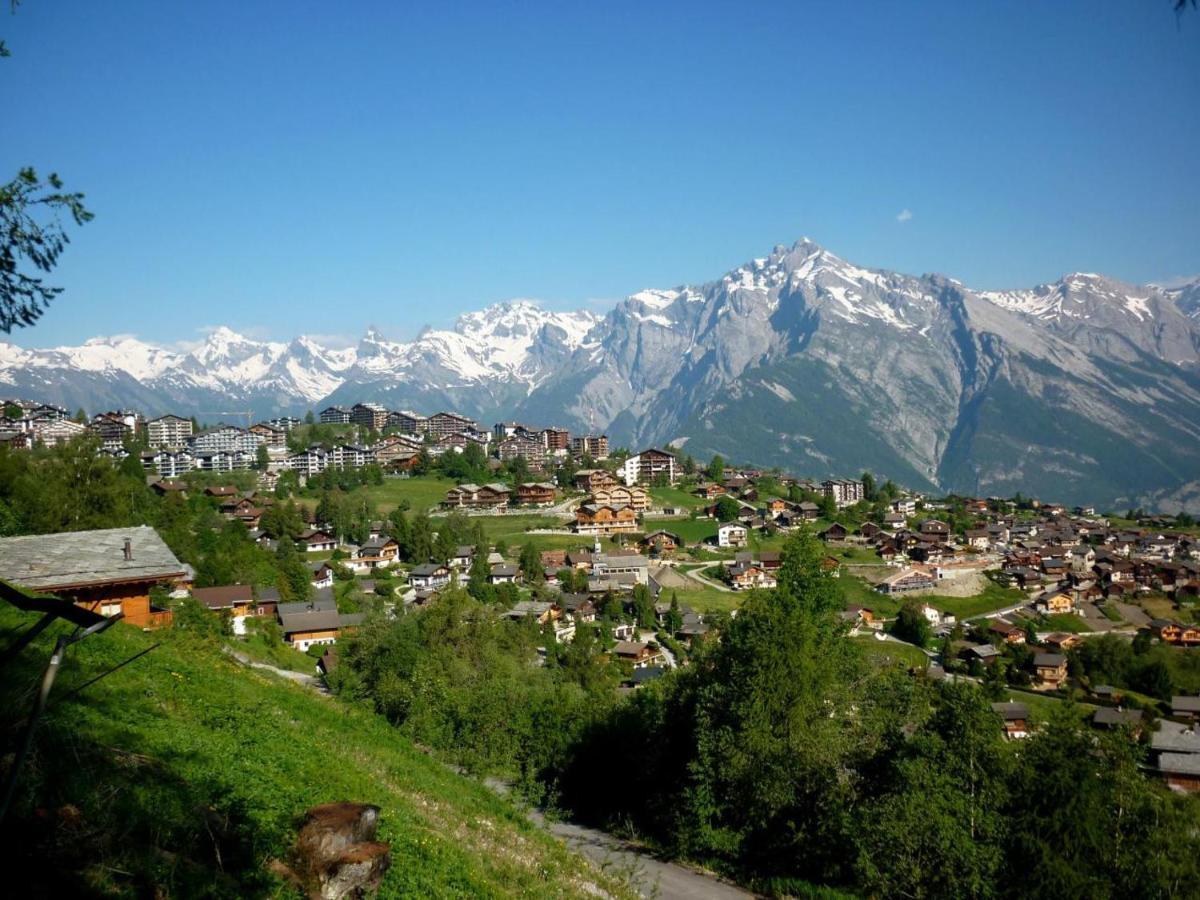 Pracondu Outdoor & Fun Appartement 8 Personnes By Alpvision Residences Nendaz Kültér fotó